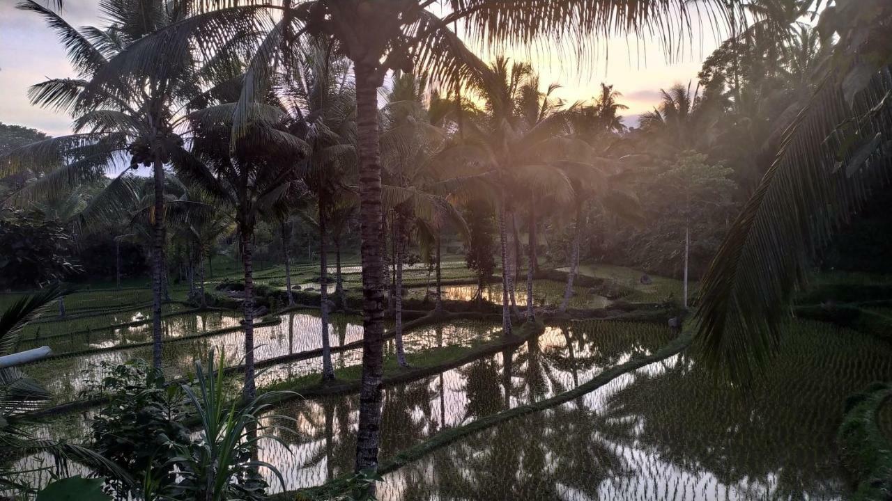 Bale Kembang Kuning Apartment Tetebatu Bagian luar foto