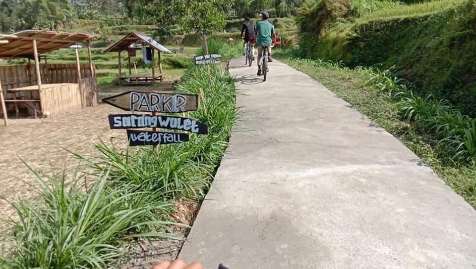 Bale Kembang Kuning Apartment Tetebatu Bagian luar foto