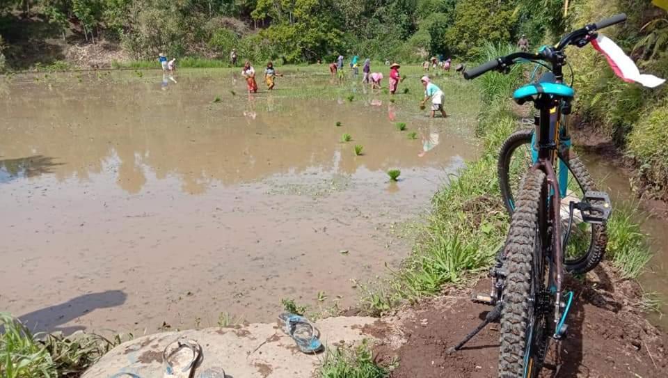 Bale Kembang Kuning Apartment Tetebatu Bagian luar foto